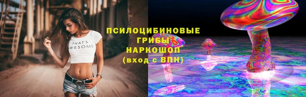 шишки Алексин