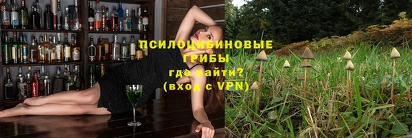 шишки Алексин
