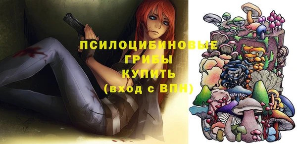 шишки Алексин